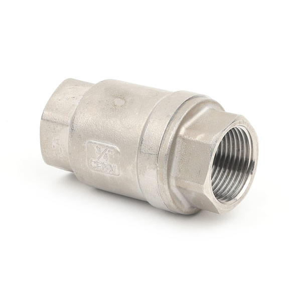 ANSI Check Valve